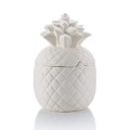 GAR 4189 Pineapple Canister